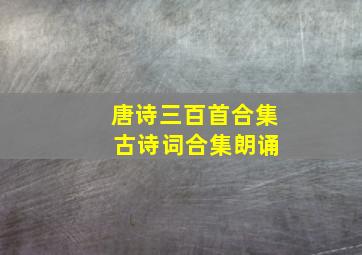 唐诗三百首合集 古诗词合集朗诵